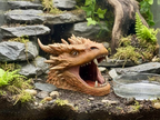 Dragon Head Hide — designer reference; supplied unpainted in chosen PETG colour