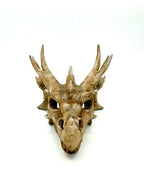 Dragon Skull — front view with full horn outline