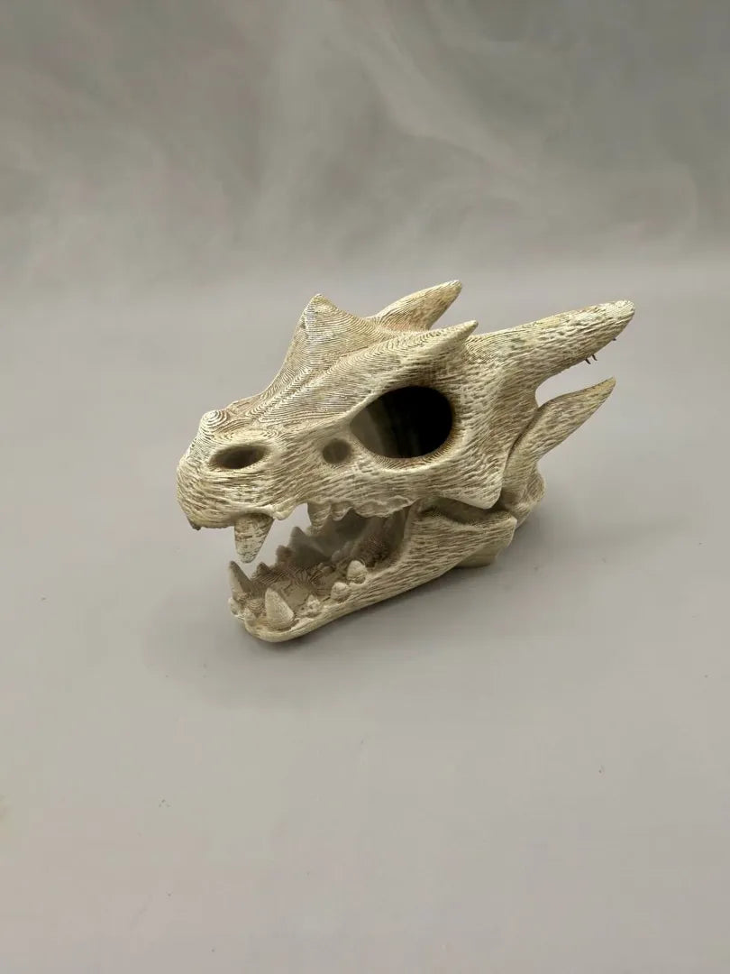 Dragon Skull | Horned Fossil Hide & Aquarium Decor Secondary image