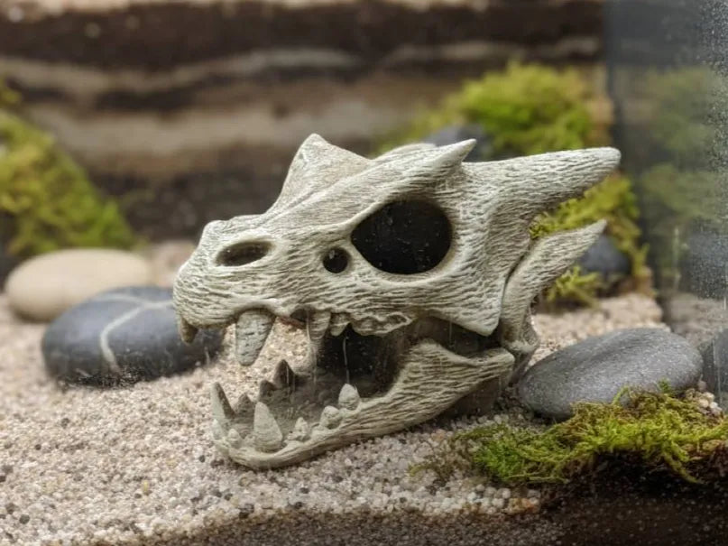 Dragon Skull — licensed product view; supplied unpainted in your chosen PETG colour