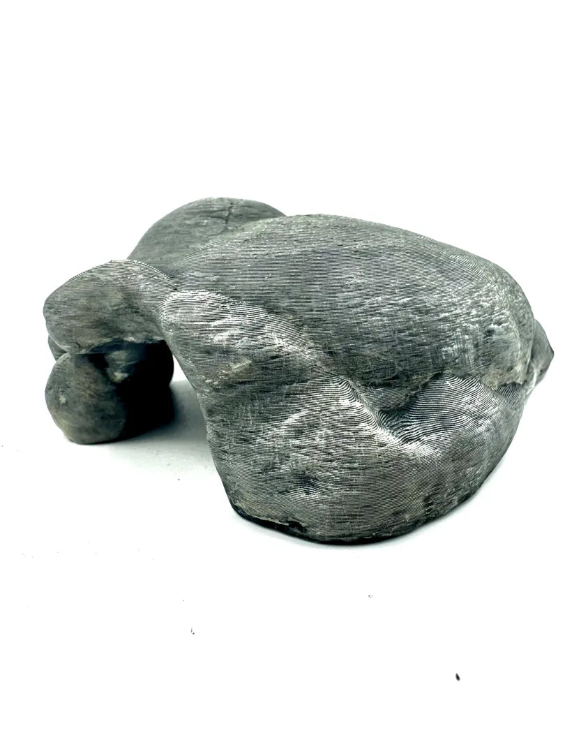 Flat Stone Cave | Low Rock Shelter with Open Passages Secondary image