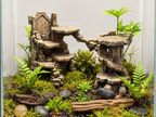 Forgotten Ruins – cover