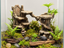 Forgotten Ruins – cover