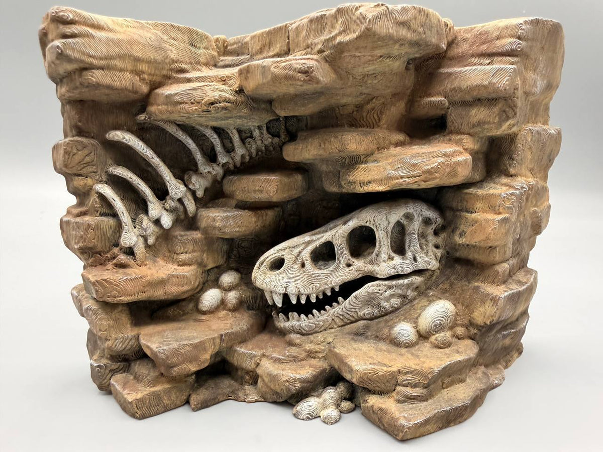 Fossil dinosaur skull and rib relief background — designer photo 2