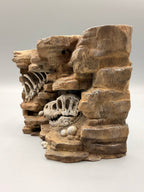 Fossil dinosaur skull and rib relief background — designer photo 3
