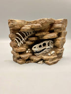 Fossil dinosaur skull and rib relief background — designer photo 4