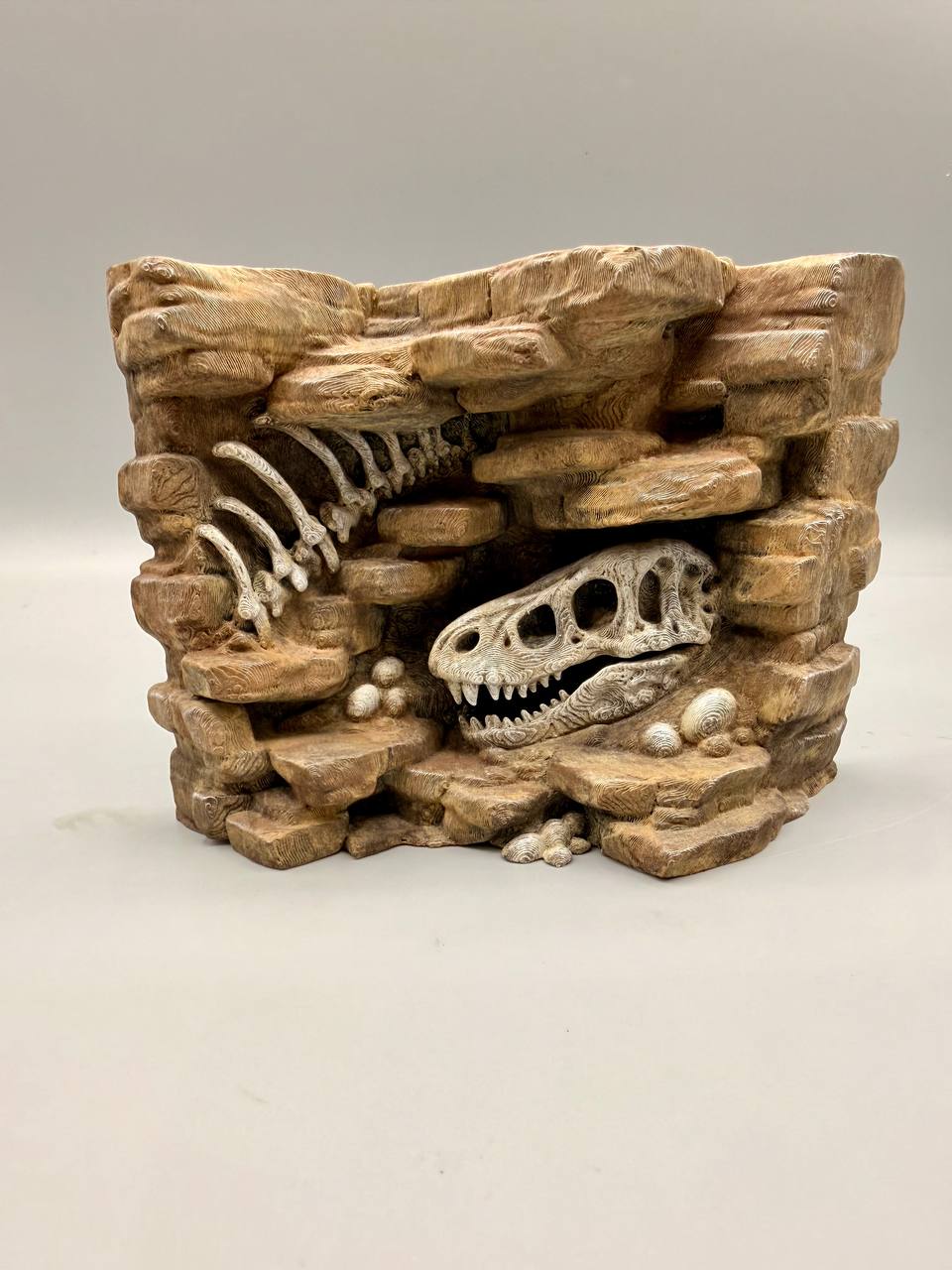 Fossil dinosaur skull and rib relief background — designer photo 4