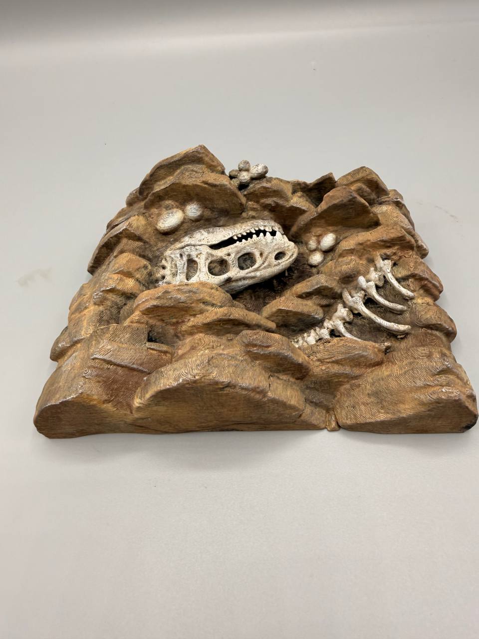 Fossil dinosaur skull and rib relief background — designer photo 6