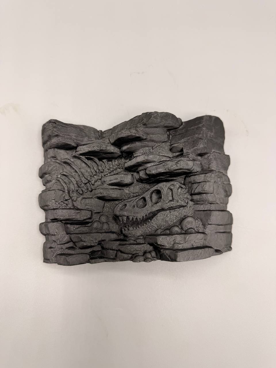 Fossil dinosaur skull and rib relief background — designer photo 7