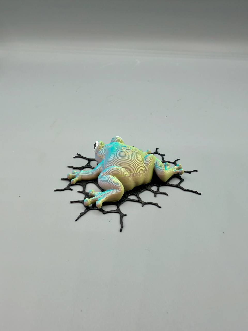 Frog Crash Magnet — designer reference view