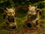 Funny Gargoyles pair — original MakerWorld styled profile photo