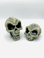 Funny Skull — original comparison photo; this listing includes one skull without lower jaw, not both designs