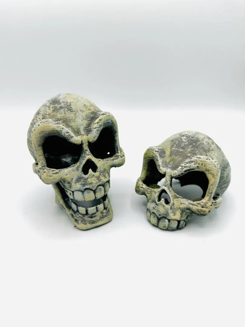 Funny Skull — original comparison photo; this listing includes one skull without lower jaw, not both designs