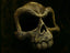 Funny Skull — original designer photo; supplied unpainted in your chosen PLA colour