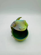 Gecko Box — original licensed view 4