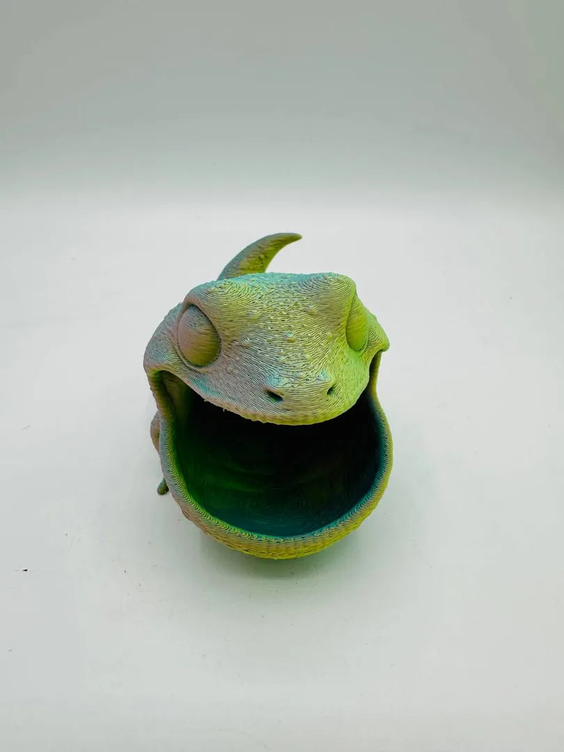 Gecko Box — original licensed view 4