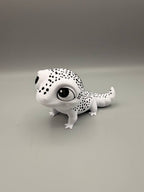 Gecko Couple — licensed designer product photograph
