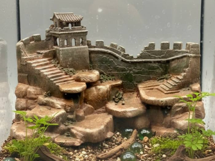 Great Wall Background — designer reference view Main image