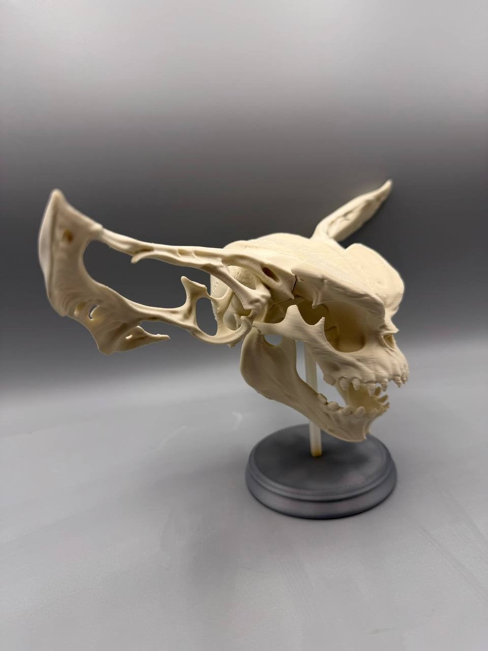 Gremlin Skull — original designer photograph
