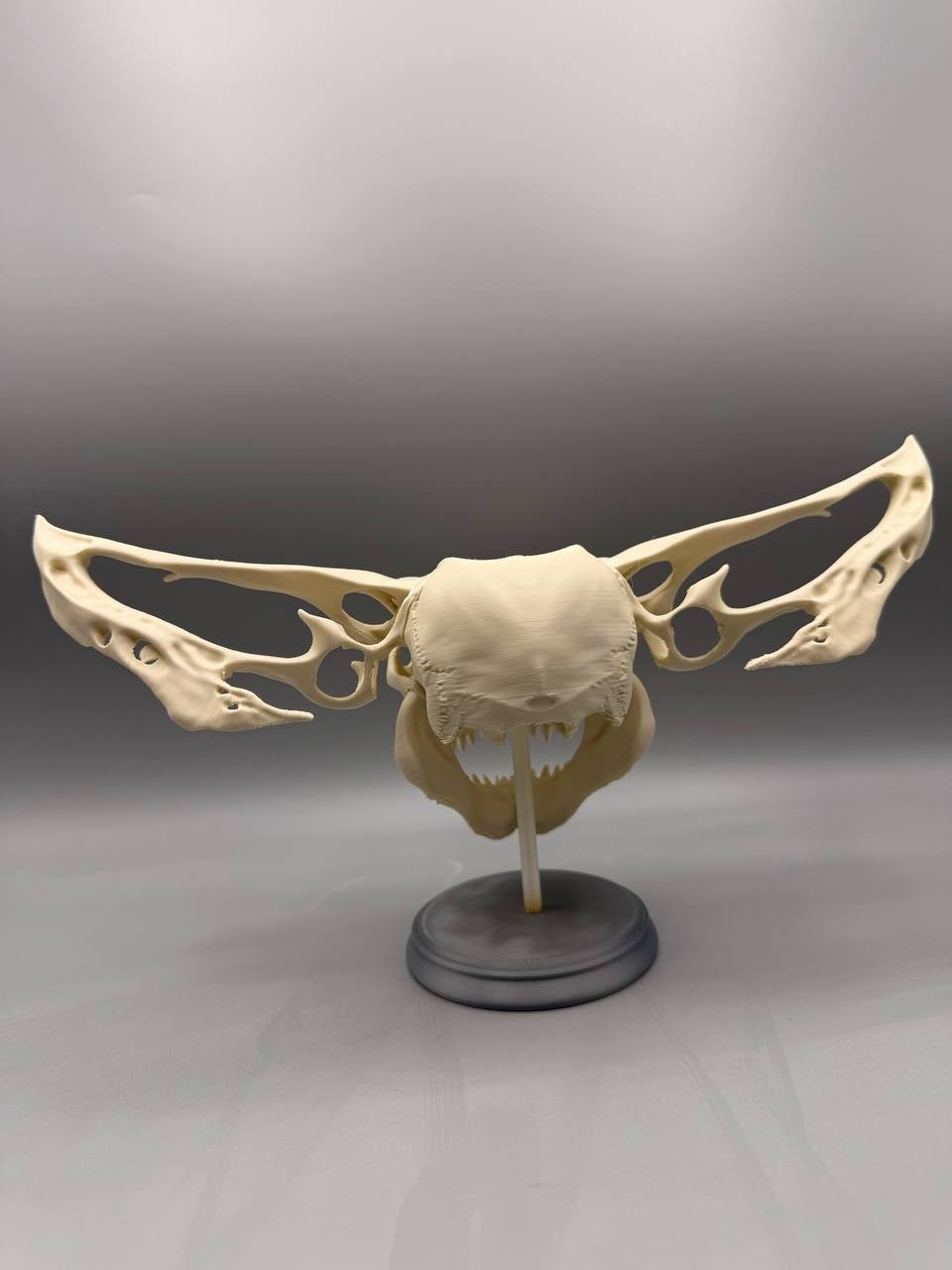 Gremlin Skull — original designer photograph