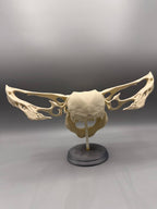 Gremlin Skull — original designer photograph