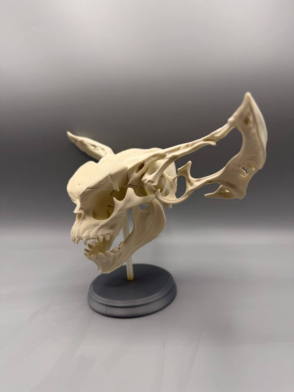 Gremlin Skull — original designer photograph
