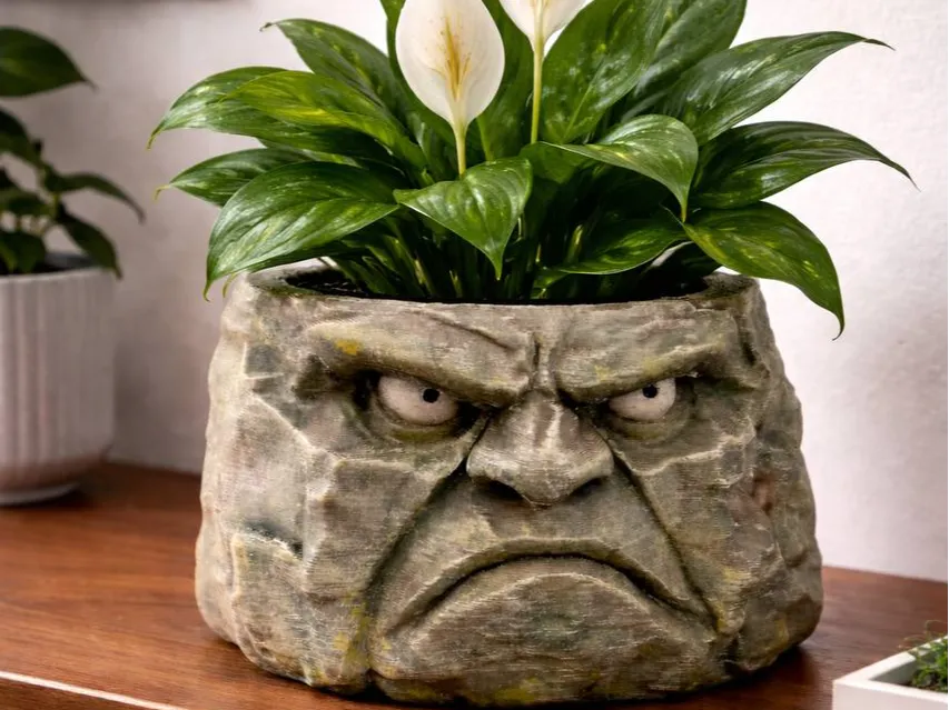 Grumpy Stone Planter — licensed product photo; supplied unpainted in your selected PETG colour Main image