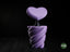Hearts Vase — hearts • single smaller — designer profile photograph