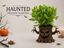 Haunted Hollow Planter – cover