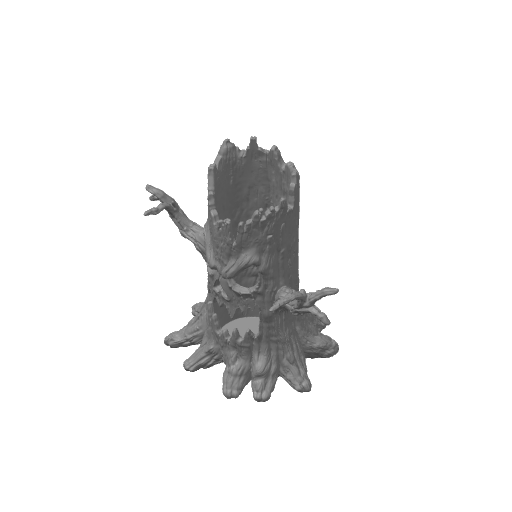 Haunted Hollow Stump – plate 1