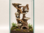 Haunted Roots terrarium background – cover