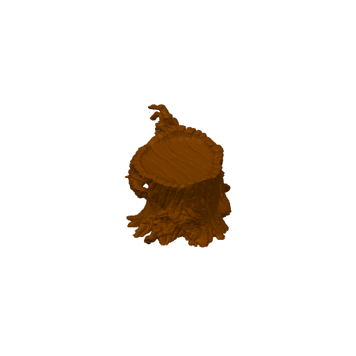 Haunted Stump Hideout – plate 2