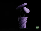 Hearts Vase – gallery