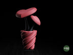 Hearts Vase – gallery