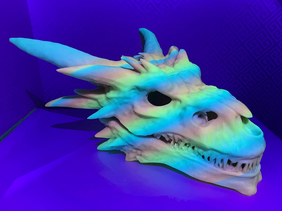 Dragon Skull Hide photographed under coloured lighting, side view