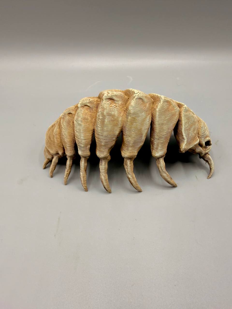 Isopod Fossil — designer reference view