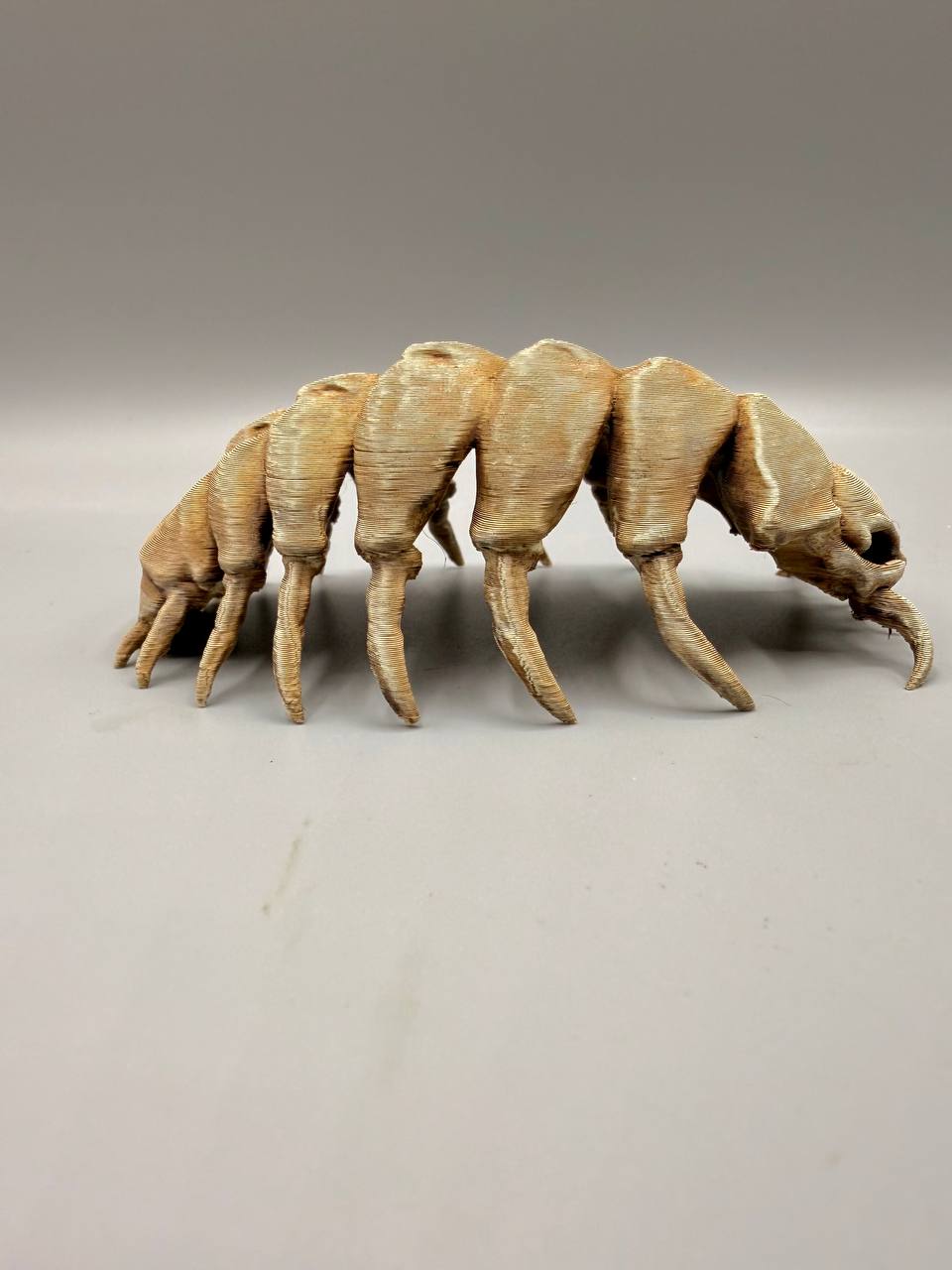 Isopod Fossil — designer reference view