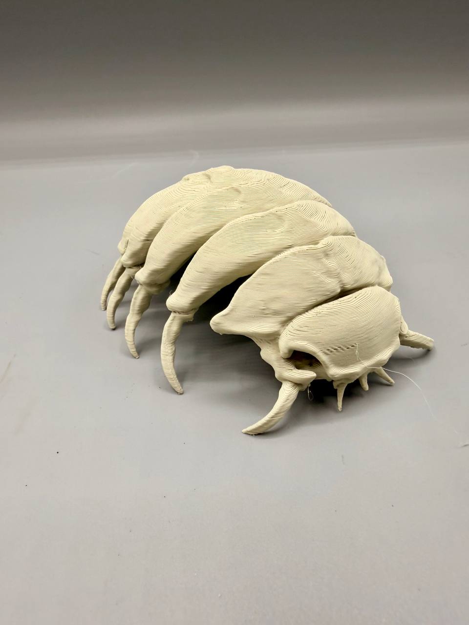 Isopod Fossil — designer reference view
