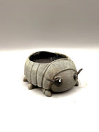 Isopod Planter — designer reference view