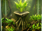 Large Root Planter — licensed source view 1; supplied unpainted in chosen colour