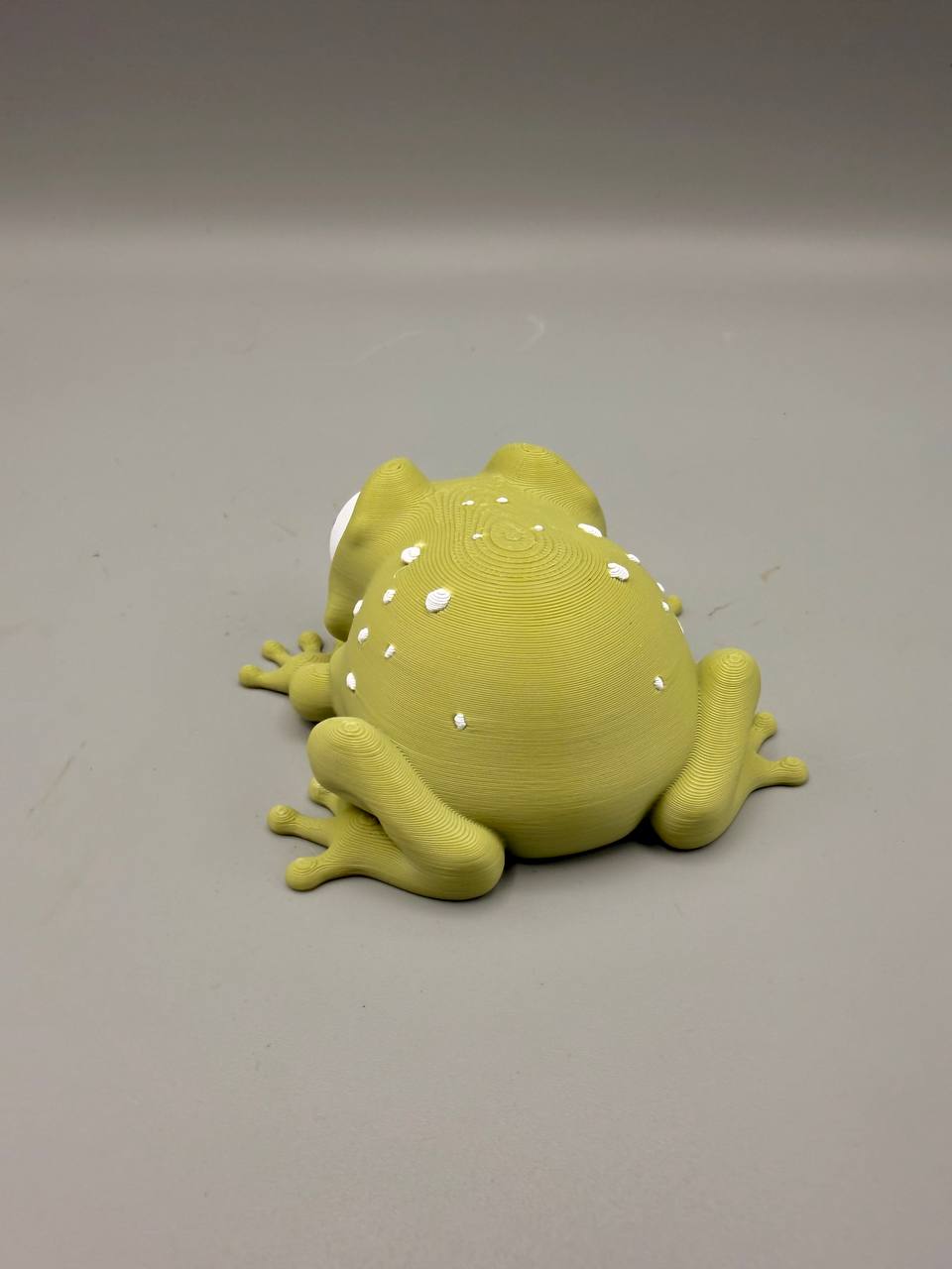 Leafy Frogs — licensed designer product photograph