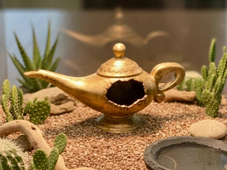 Magic Lamp Hideaway — designer reference view
