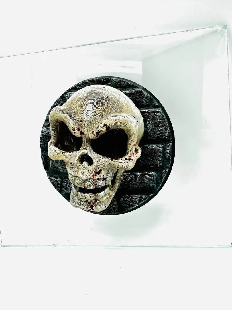 Magnetic Skull Hide | Gothic Skull & Round Backplate Secondary image