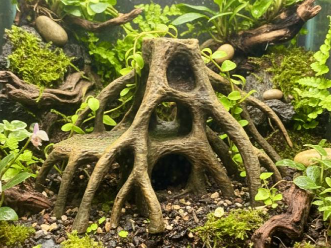 Mangrove Root Caves – designer photograph 1; painted example Main image
