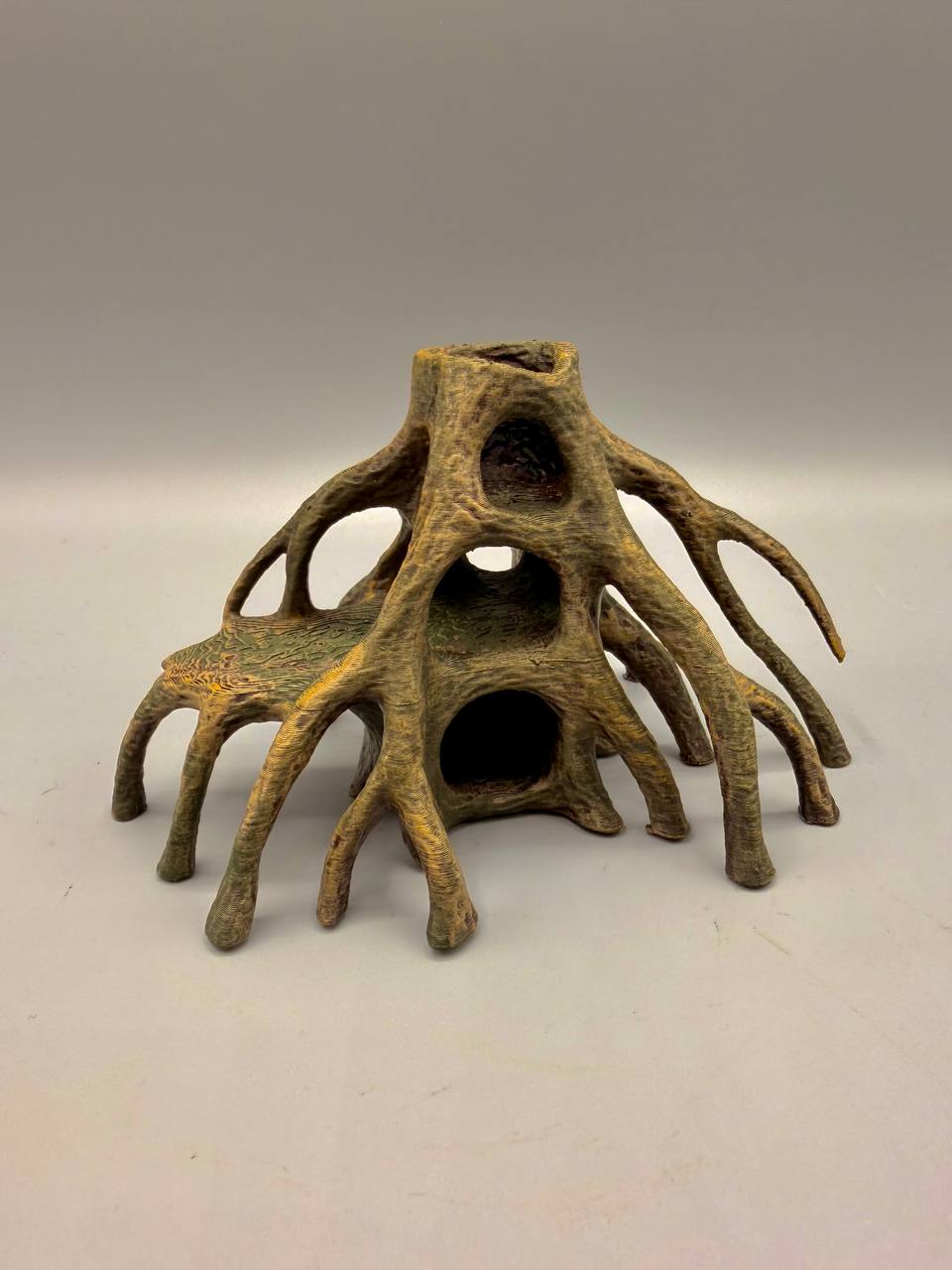 Mangrove Root Caves | Layered Hollows & Root Arches Secondary image