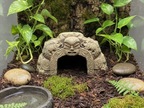 Maori Cave — licensed designer photo; supplied unpainted in your chosen colour