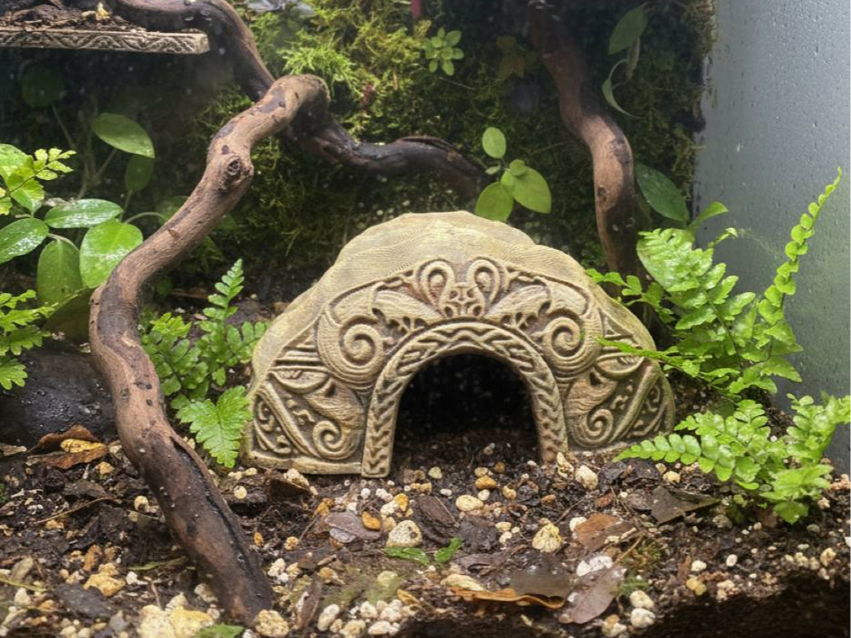 Maori Hideout — licensed designer photo; supplied unpainted in your chosen colour