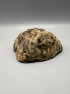 Maori Hideout — licensed designer photo; supplied unpainted in your chosen colour
