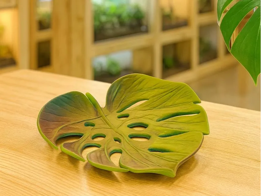 Monstera Bowl — original MakerWorld styled cover