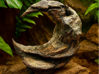 Moon Stone — licensed designer photo; crescent-shaped rock decor supplied unpainted